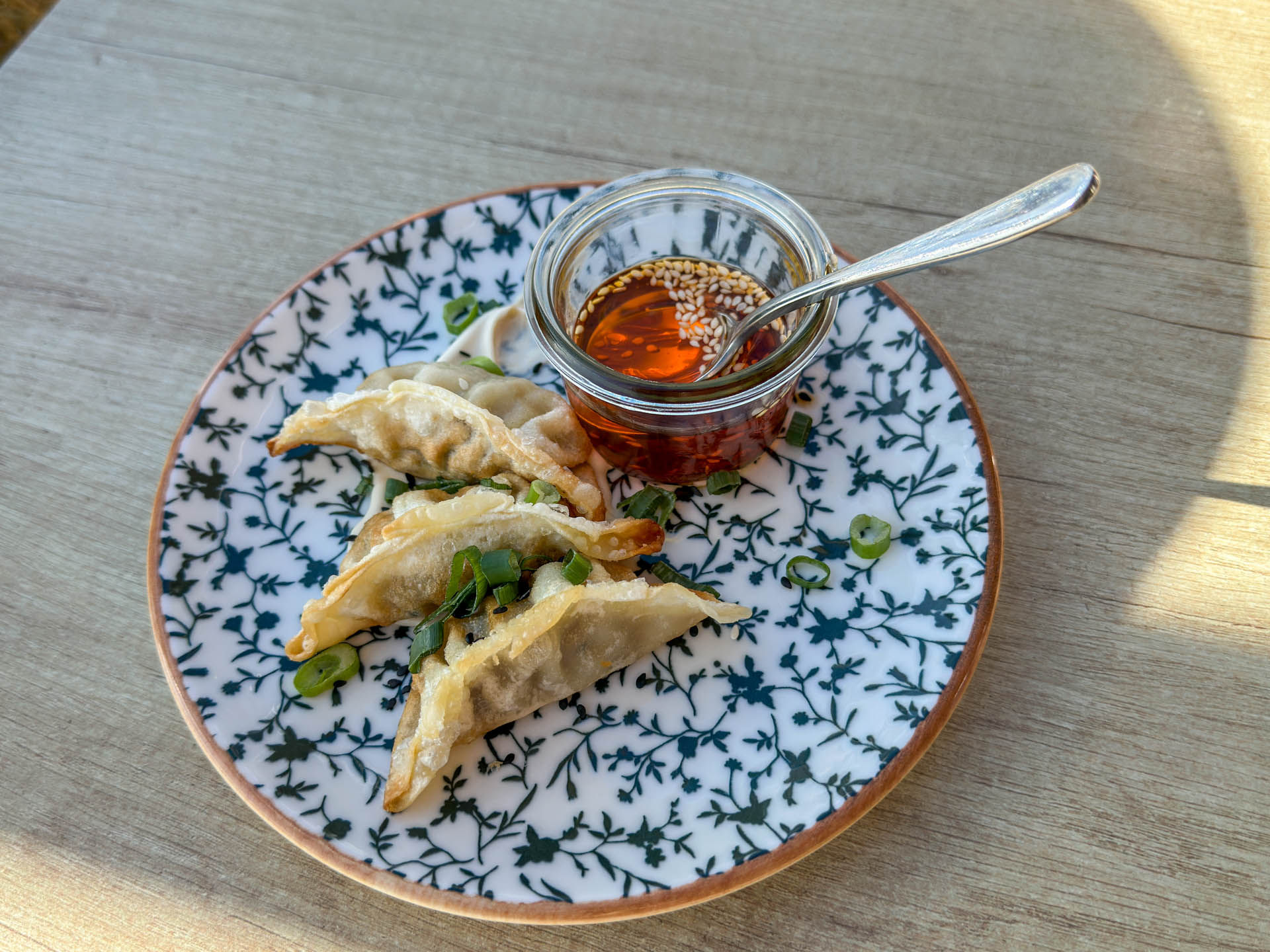 Hjemmelavede Gyoza i Horsens.