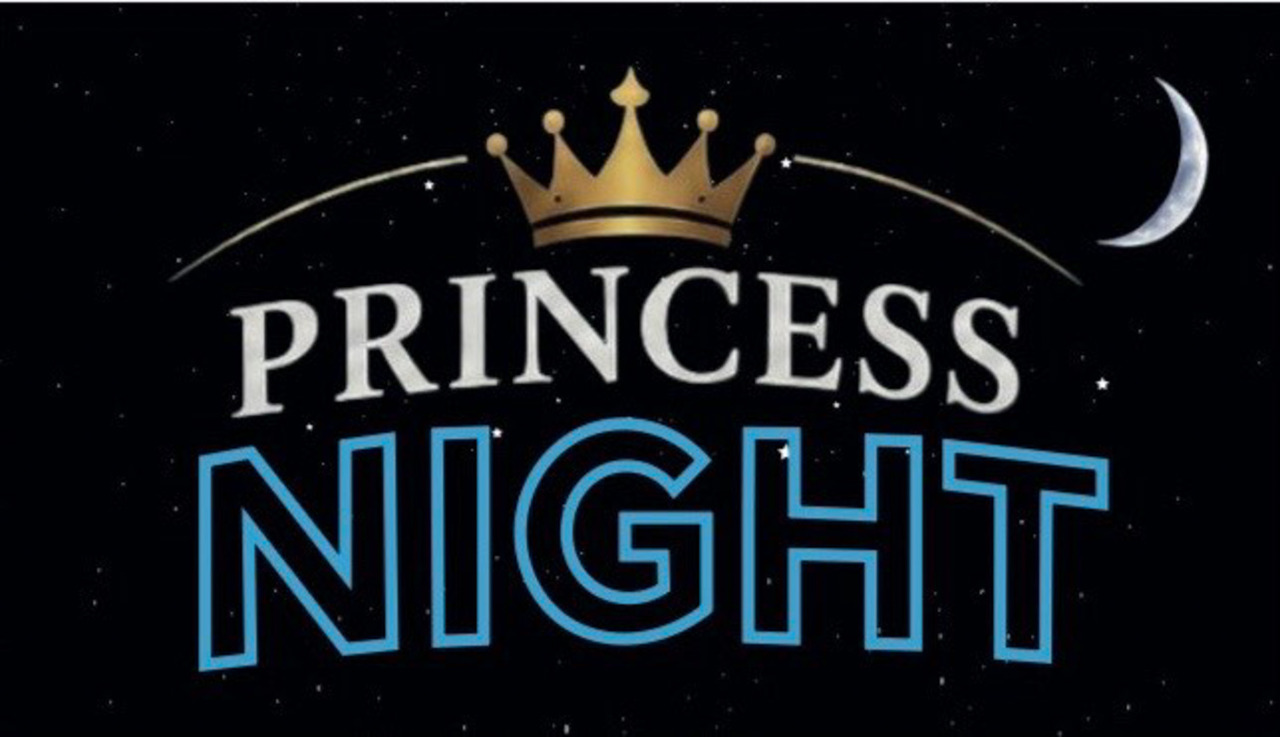 Princess Night er en del af Princess Kebab & Pizzahouse og har åbnet til ud på natten i Horsens.